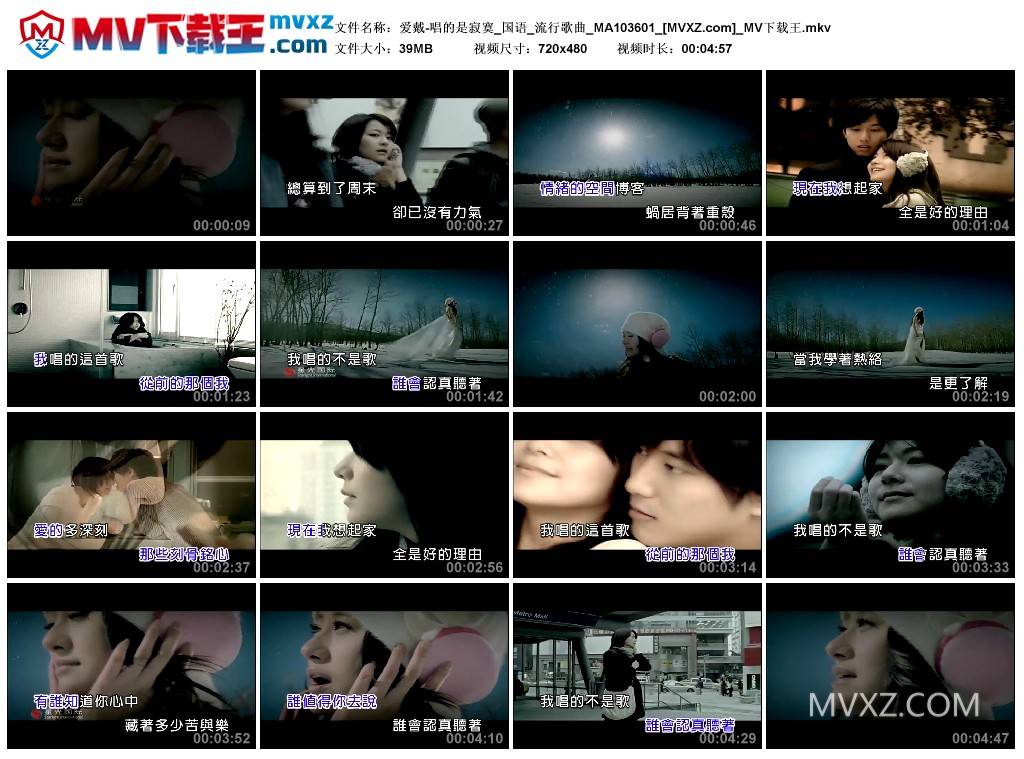 爱戴-唱的是寂寞_国语_流行歌曲_MA103601